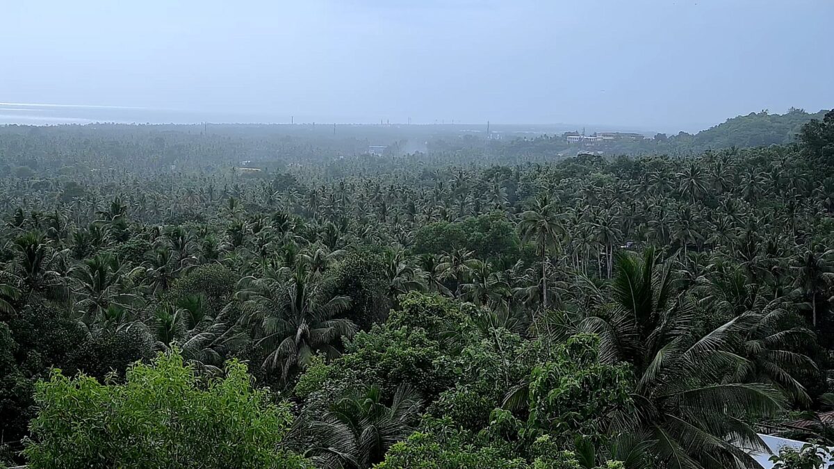 Healing Centre Facilities Ayurveda healing ashram Ayurvedic center