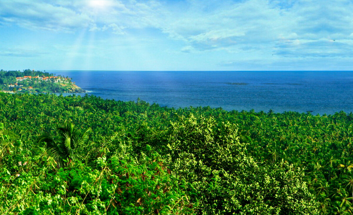 Healing Centre Facilities Ayurveda healing ashram Ayurvedic center